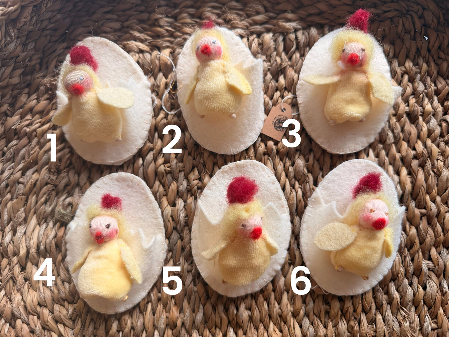 Tiny chicks