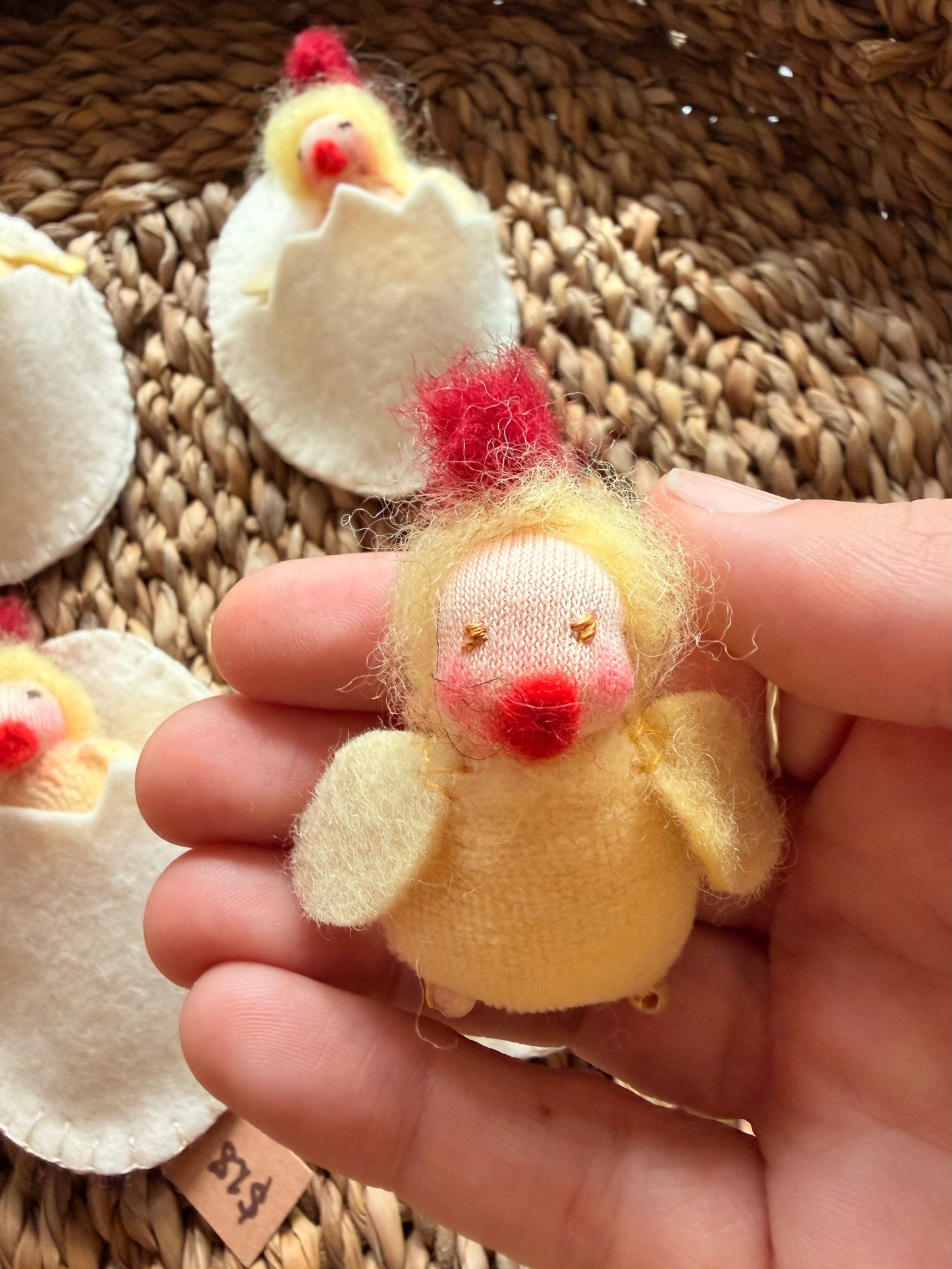 Tiny chicks