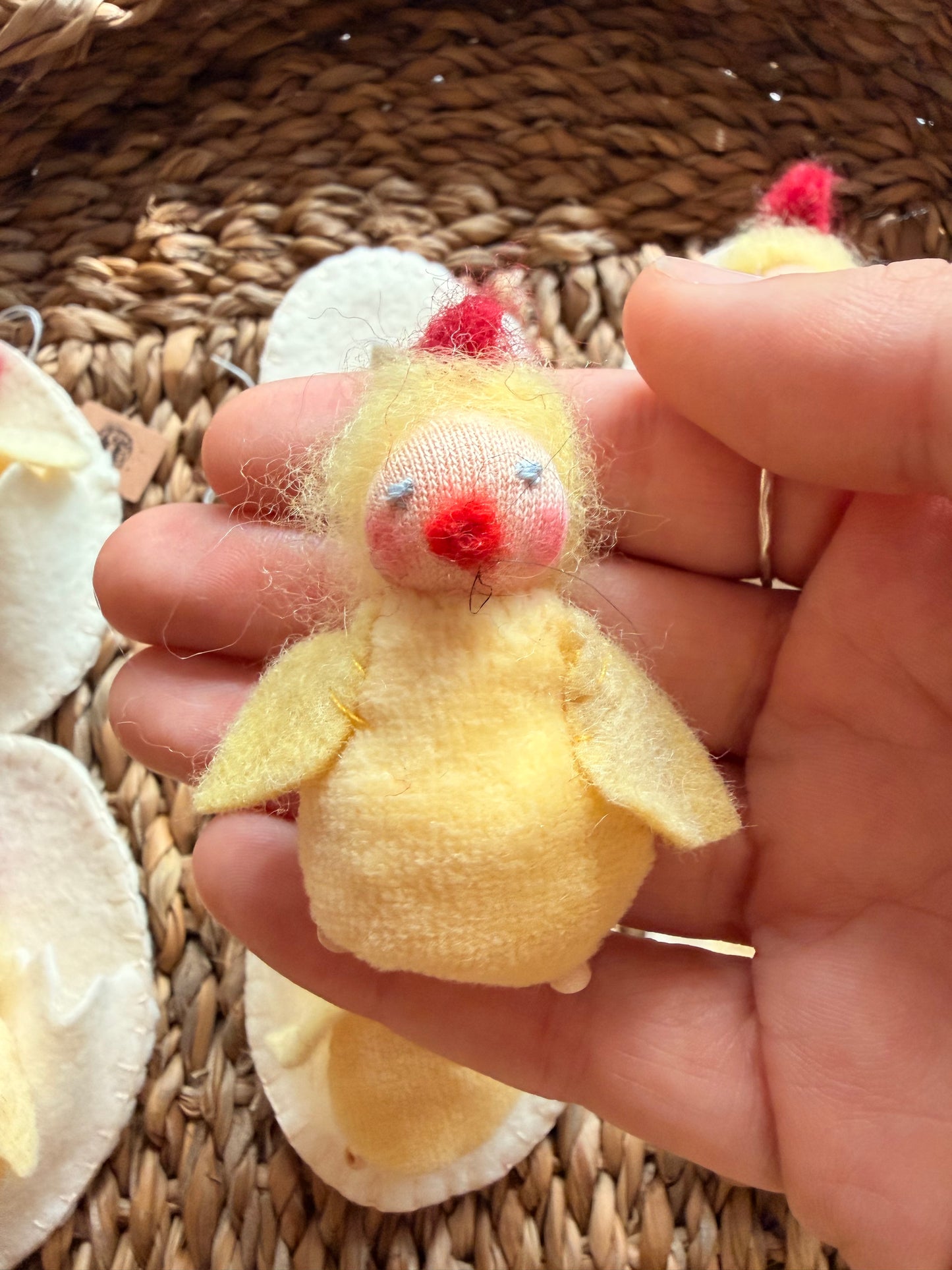Tiny chicks