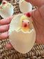 Tiny chicks