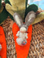 Tiny rabbits