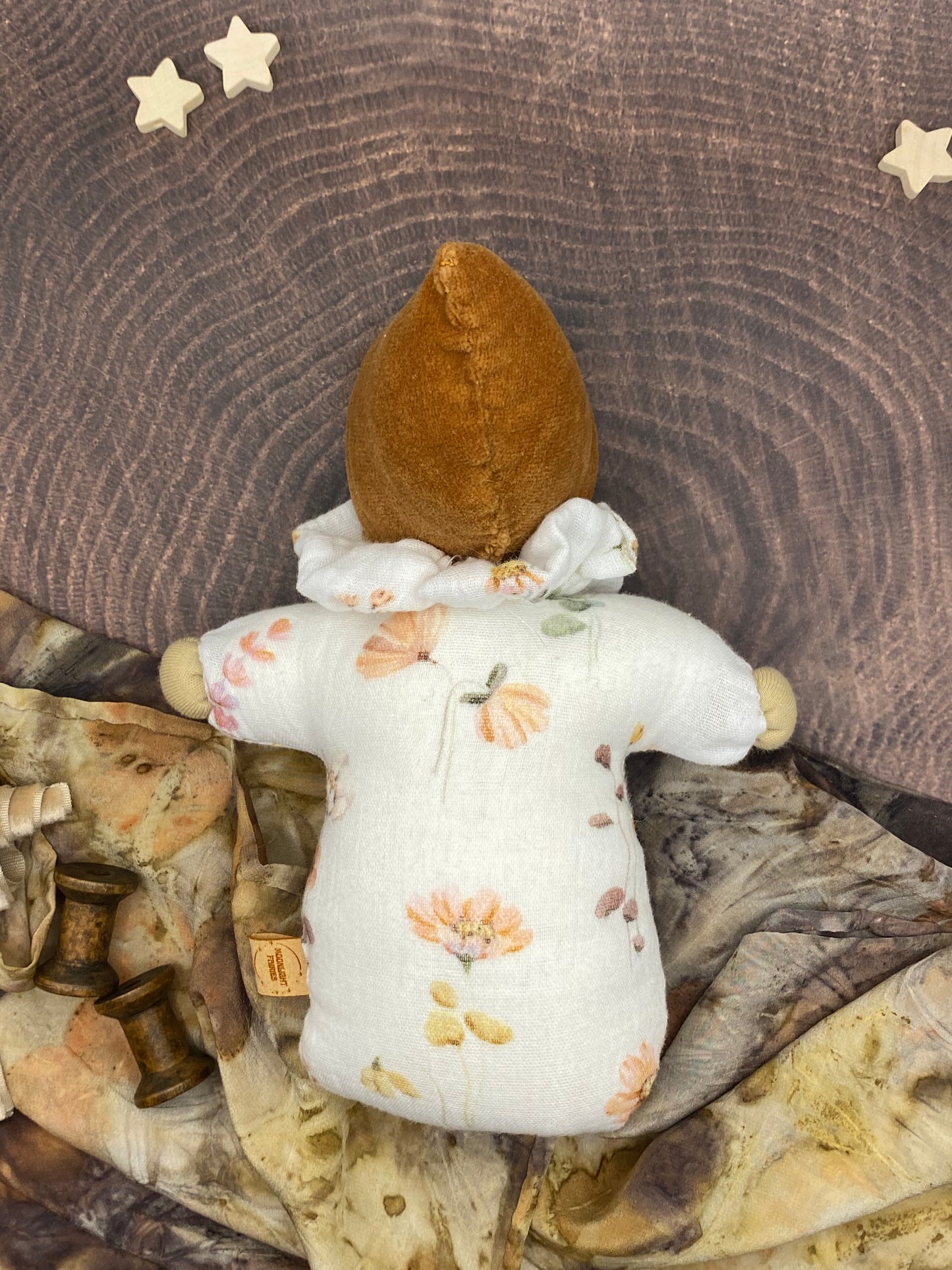 Night fairy - 🌰 Acorn