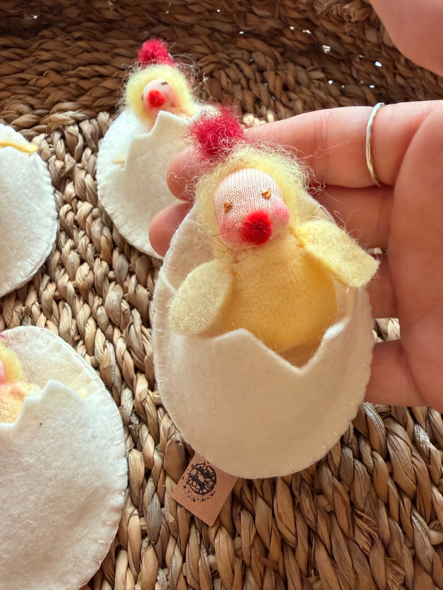 Tiny chicks