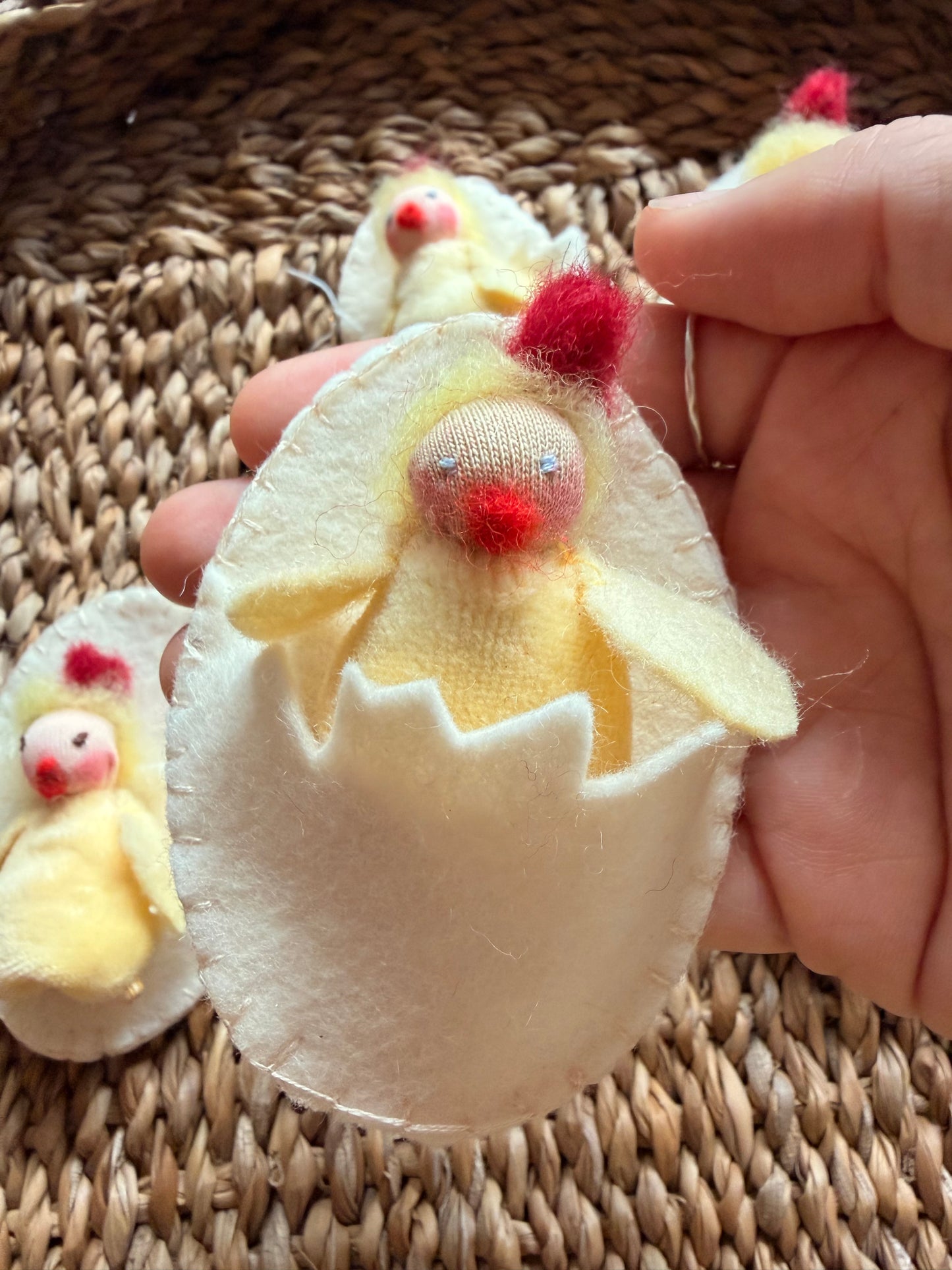 Tiny chicks